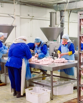 Meat
                                    Processing