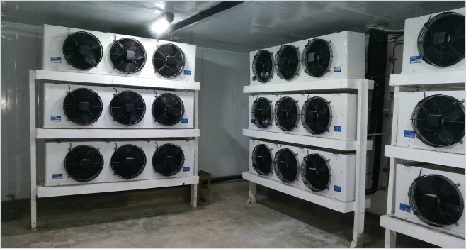 Blast Freezer