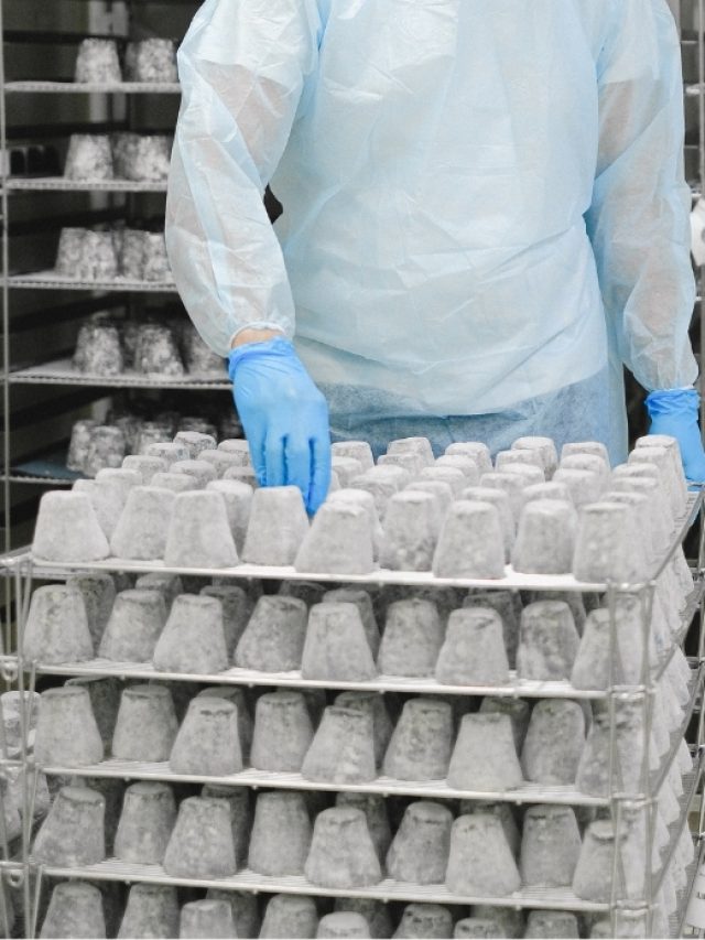 5 Reasons Ammonia Air Handling Unit are Ideal for Cold Storage