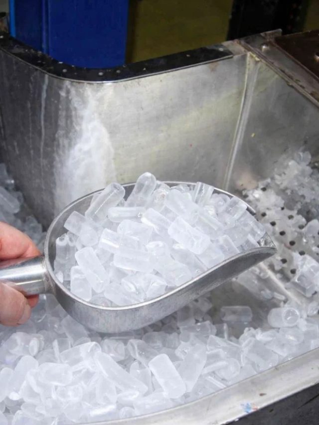 How Thermosyphon Refrigeration Technology Works in Tube Ice Plants